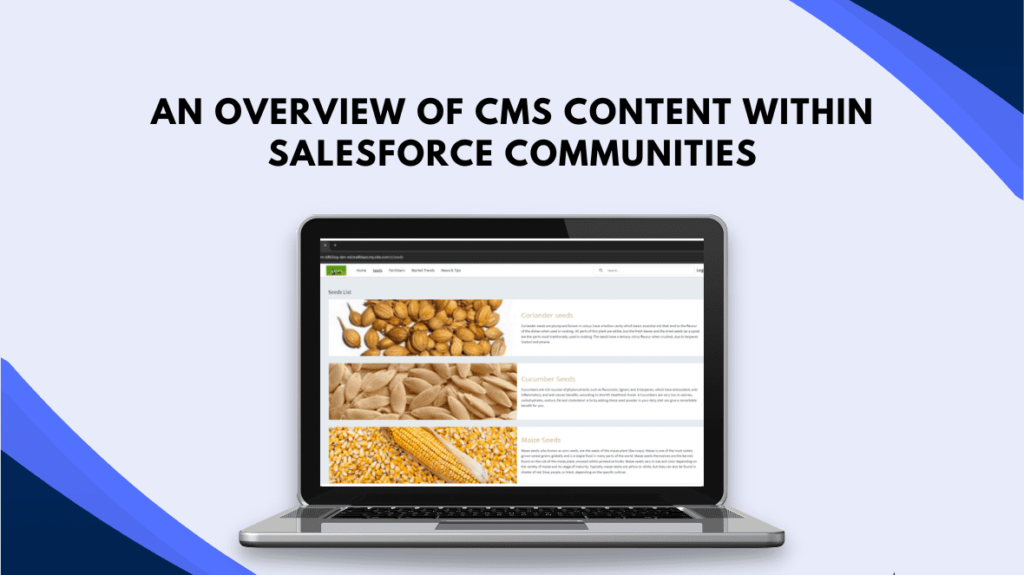 An Overview of CMS Content within Salesforce Communities